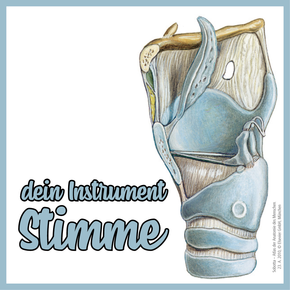 InstrumentStimme